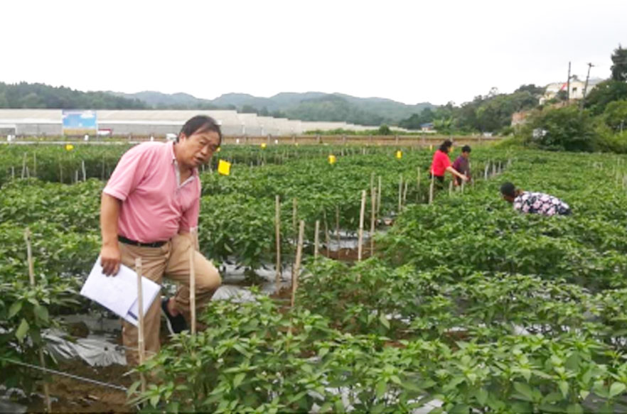 貴陽生物有機肥